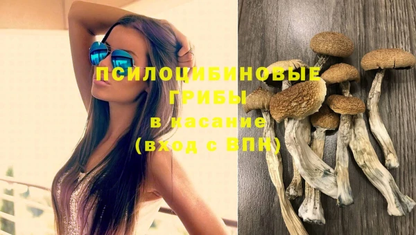 гидропоника Абдулино