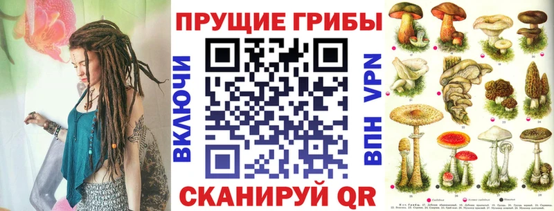 ОМГ ОМГ маркетплейс  Северодвинск  Псилоцибиновые грибы ЛСД  хочу  
